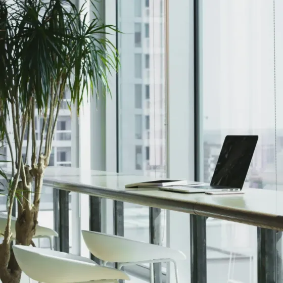 Intuify Sàrl : Lausanne Marketing se professionnalise